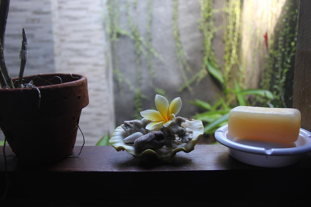 Apartmán Chez Ida Ubud Exteriér fotografie